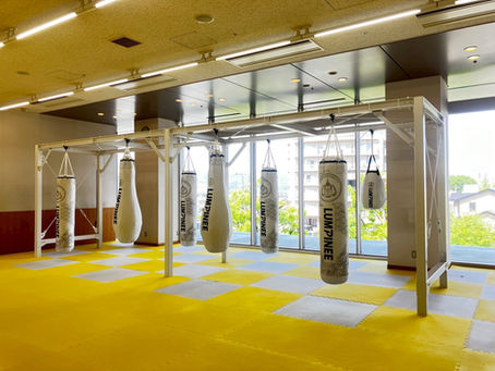 YTSゴジダス6月16日で配信されました。