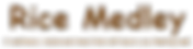 Screenshot_2025-06-11_155721-removebg-preview.png