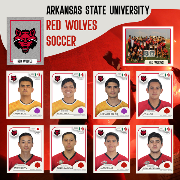 PaniniAlbum.png