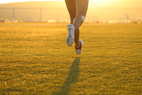 Morning Run.png
