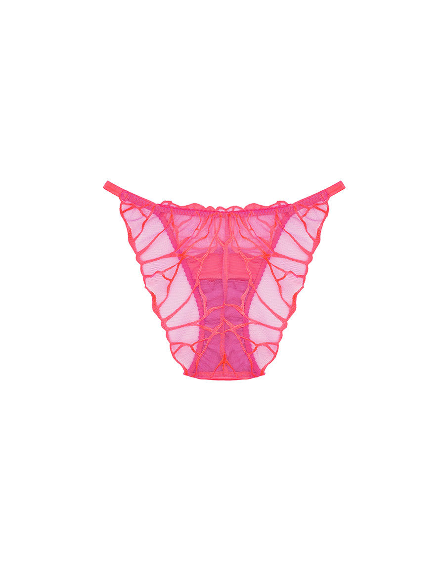 Thumbnail: CLEO BRIEF