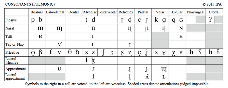 Phonetic symbols of the IPA
