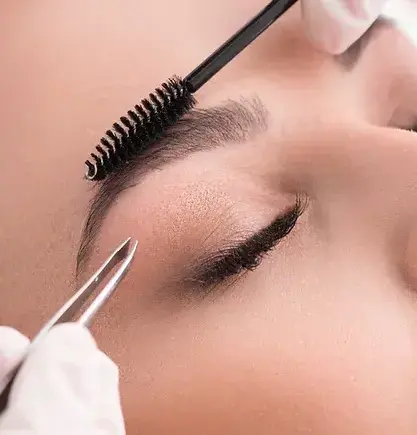 Eyebrow Henn/Tint Service