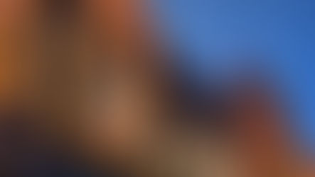 A Magical Christmas Legacy: Repurposing the Harrods Christmas Decorations