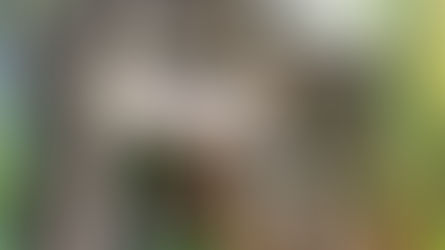 From exhibition stand to twigwam