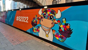 How the B2022 Games graphics are helping local sports, hedgehogs and social inclusion