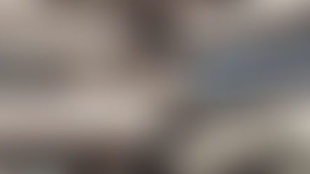 Carpet donations from Evolve and Novomatic bring warmth and comfort to five charities