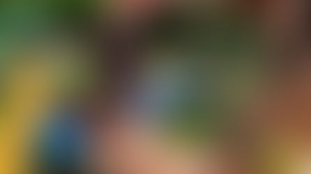 Pandemic/Brexit business model update helps seven London causes 