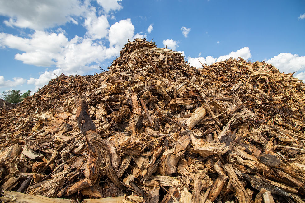 Biogenica - Waste pile.jpeg