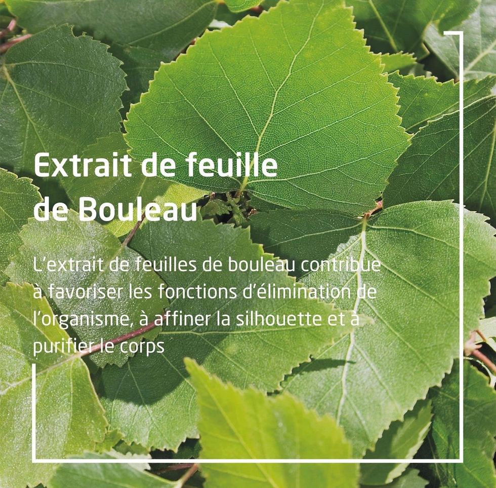 Miniatura: WELEDA - Huile de Massage Minceur au Bouleau 100ml 
