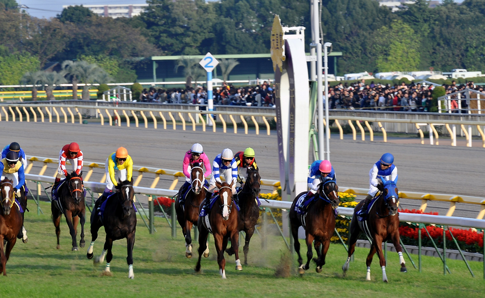 【天皇賞・秋】リバティアイランドが1番人気 予想オッズ3.7倍で単勝首位