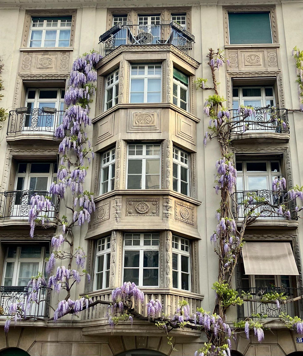 MAY:  Wisteria
