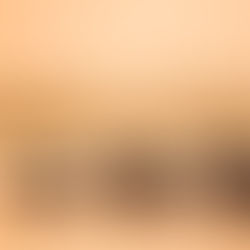 הדלתה של הדנובה