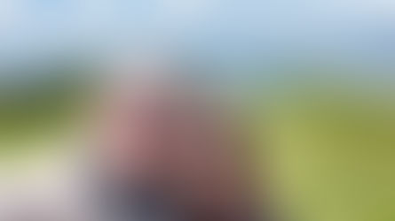 First Tastes of Veneto