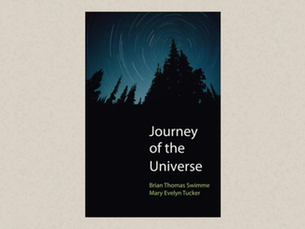 Journey of the Universe