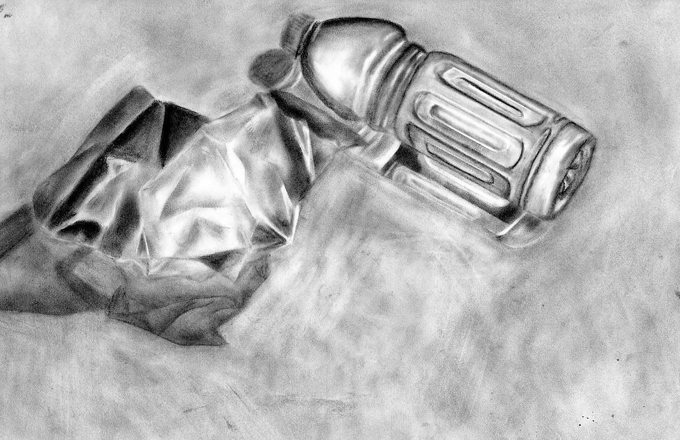 Light Study