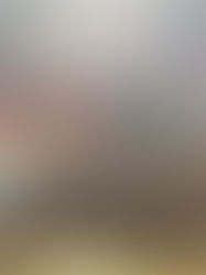 O Chile não se perderá no caminho