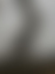 Signs of the Agonizing Death of Analog AM