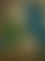 Major Radio and TV Event in Brazil Ignores Digital Radio, but Highlights the New Version of Digital TV