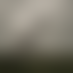 O AM morreu com honras