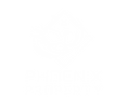 PHOENIX LOGO.png