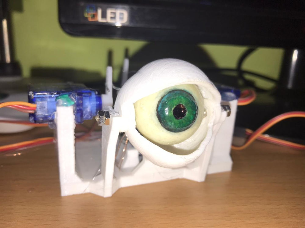 Robot Eye