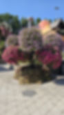 d29dc52e-b2d9-49a7-8dfe-d27c537bf8c7.JPG