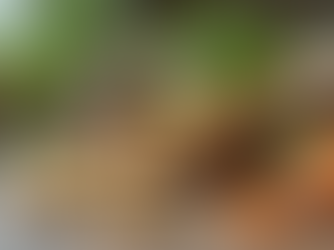 Top Ayurvedic Supplements to Ease Menopause Symptoms