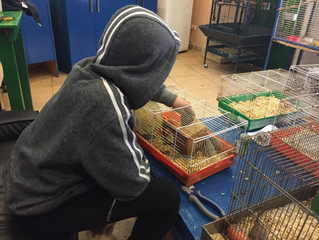 Building trust through animal therapy