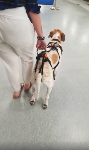 Webby-Physcial-Therapy