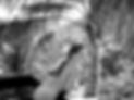 Sienna Sinclaire nude in St. Barths.jpg