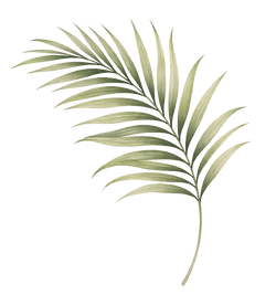 Jordan Fit Bar (7).png