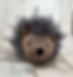 fullsizeoutput_ac.jpeg