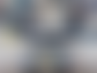 EXTREME BRAND UPDATE | MARCH 2017