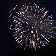 4th of July 2.jpeg