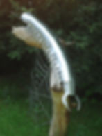 Tausendfüßer