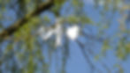 Fledermaus an Kette Natur