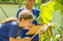 Student planting greenery as part of the Si Ri Panya International School Eco-Schools programme