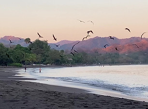 Playas del Coco sunrise.jpg