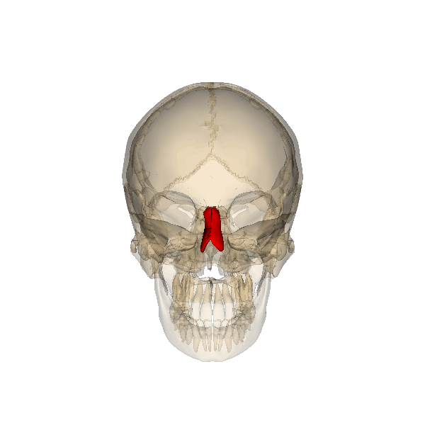 GIF 3 NASAL.gif