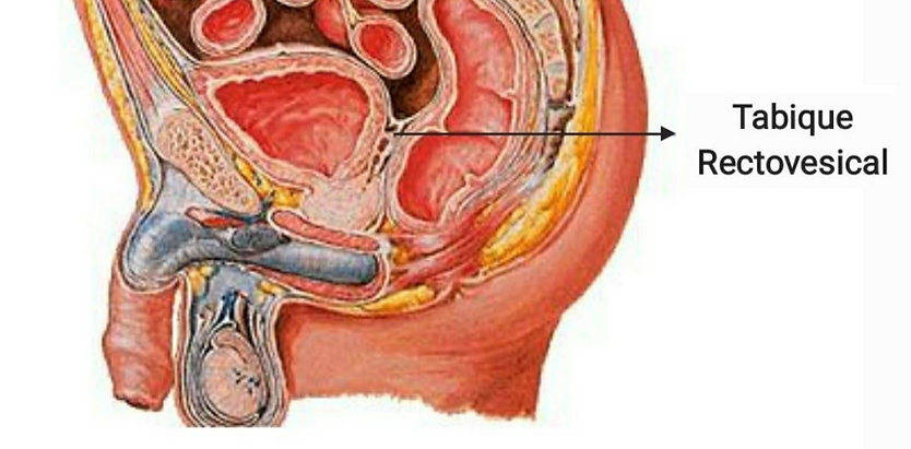 Captura de Pantalla 2020-12-07 a la(s) 1