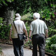 A Relação Entre Atividade Física Leve e Cognição