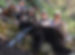 2018-bear-harvest_m_300x218.jpg