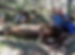 2018-don_mary_bear_m_300x218.jpg