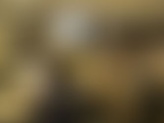 June 20-21, 2018: 6th Annual Minority Bar CLE Conference with ISBA (Event Recap.)