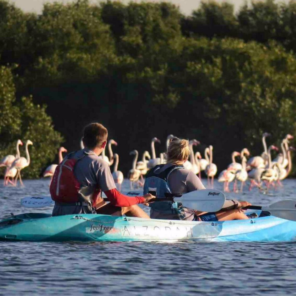 Kayaking activity with Quest for Adventure at Al Zorah