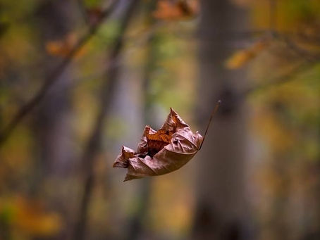 Falling Into Grace