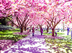20130430_135558.jpg
