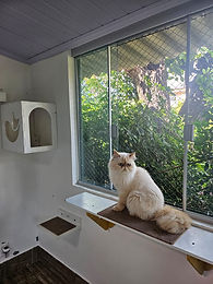 hotel 4.jpg