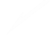 Copilot_20251124_083637 (1).png